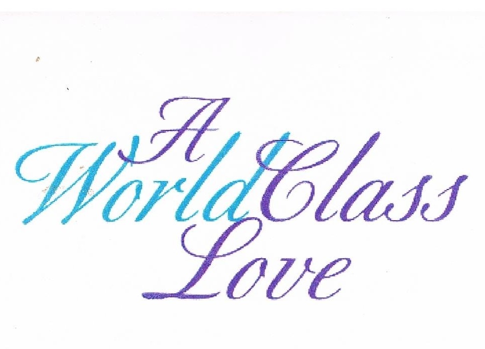 The World Class Love Institute